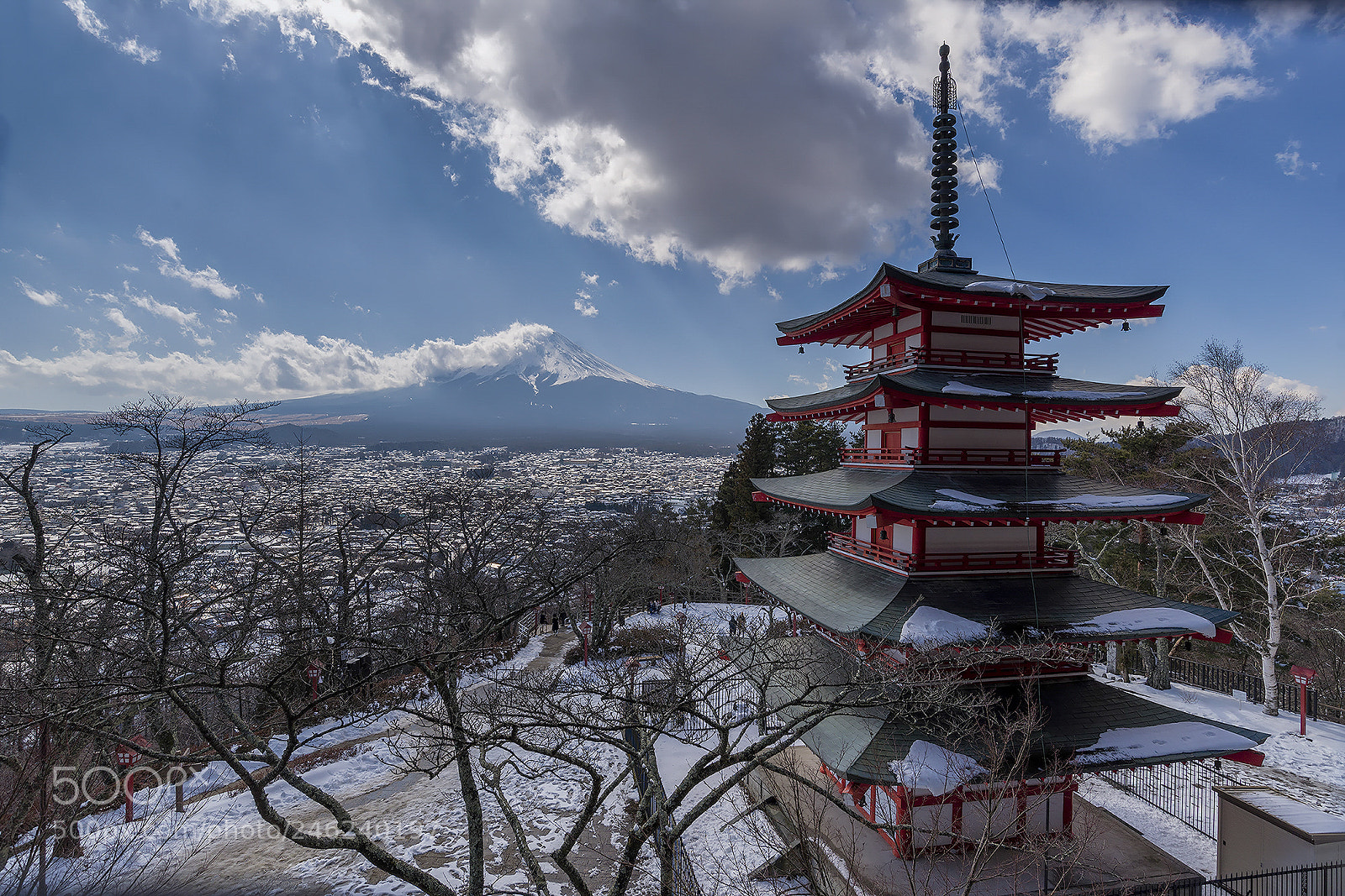 Nikon D610 sample photo. Red pagoda & fuji san photography