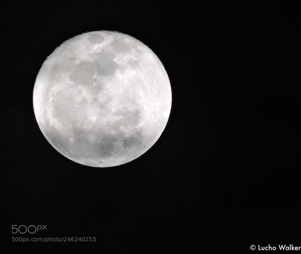 Nikon Coolpix P600 sample photo. Moon photography