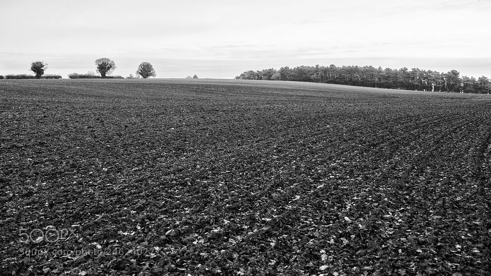Canon EOS 50D sample photo. Farm photography