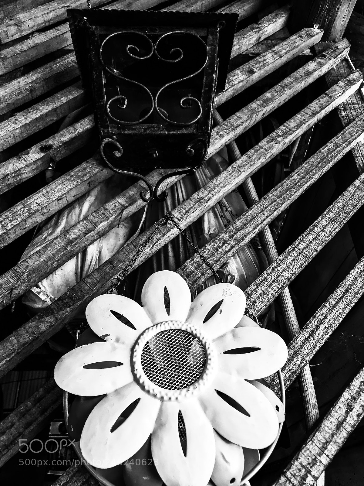 Apple iPhone 7 sample photo. Untitled photography