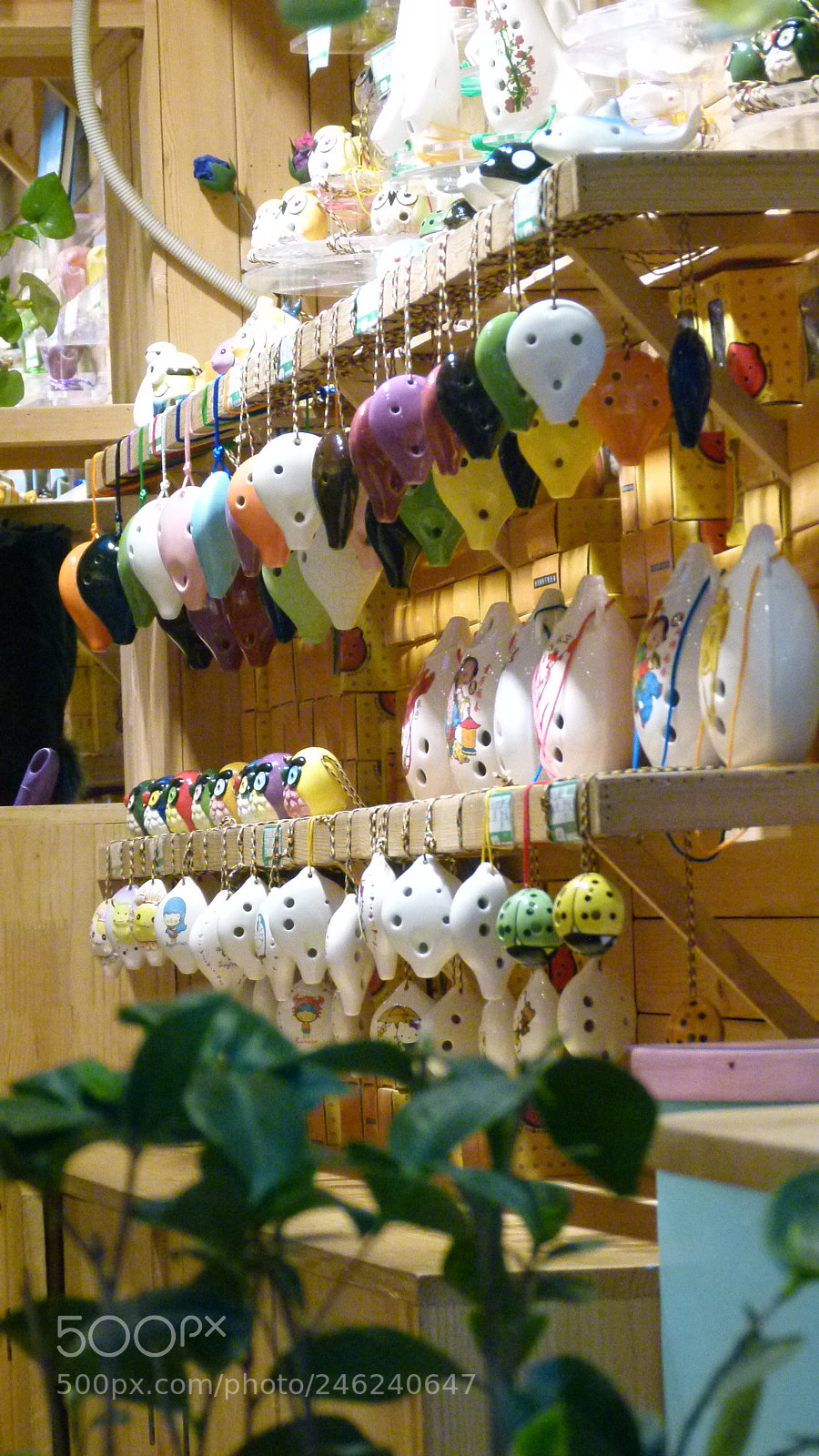 Leica V-Lux 2 sample photo. Untitled photography