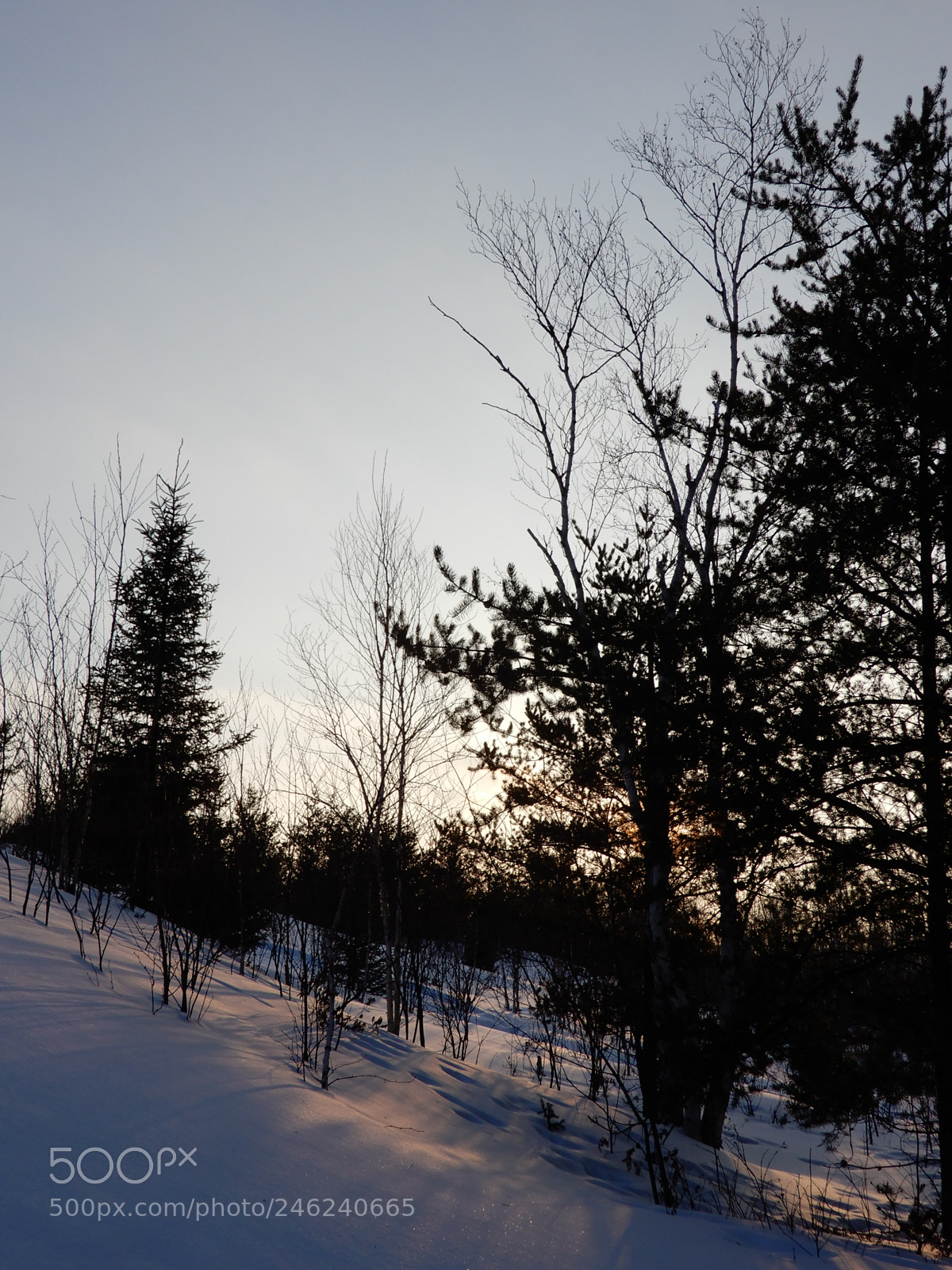 Nikon Coolpix A900 sample photo. Slope and sunset photography