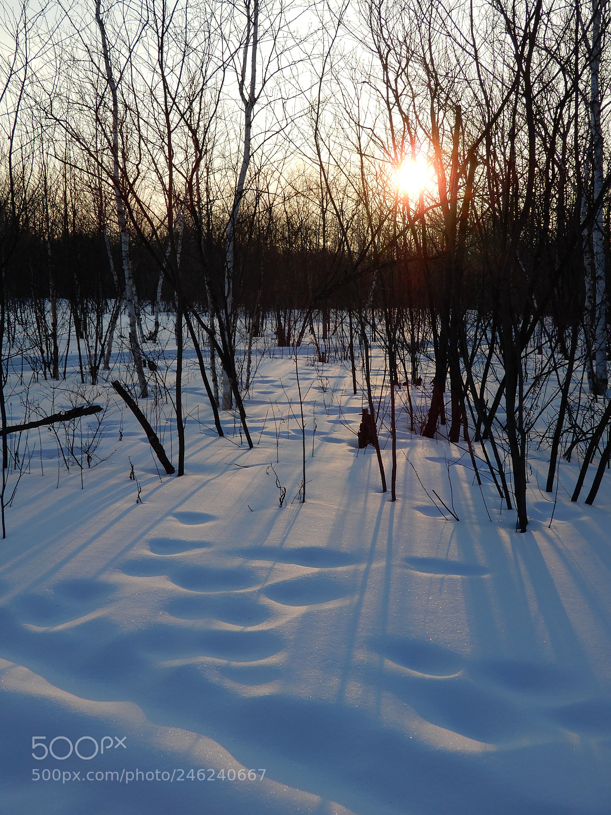 Nikon Coolpix A900 sample photo. Snow and sunset photography