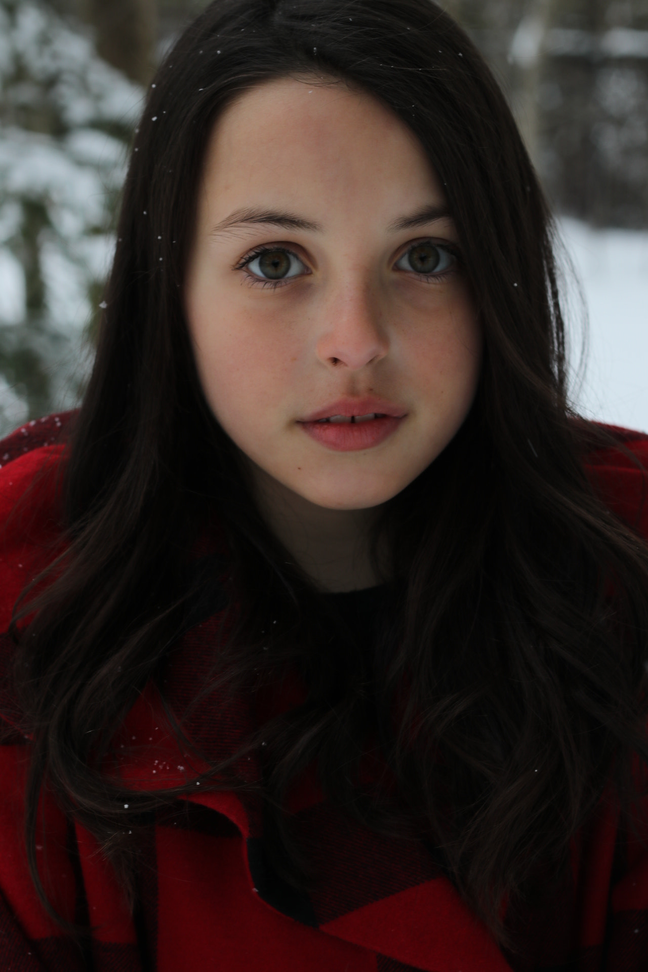 Canon EOS 80D + Canon EF 50mm F1.8 II sample photo. Chaperon rouge photography
