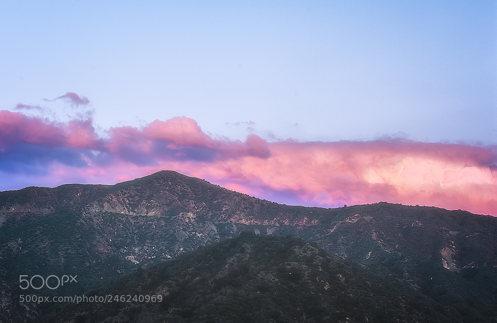 Nikon D3400 sample photo. "pinks!" photography