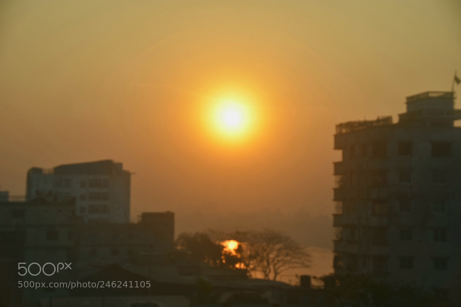 Nikon D7200 sample photo. Morning photography