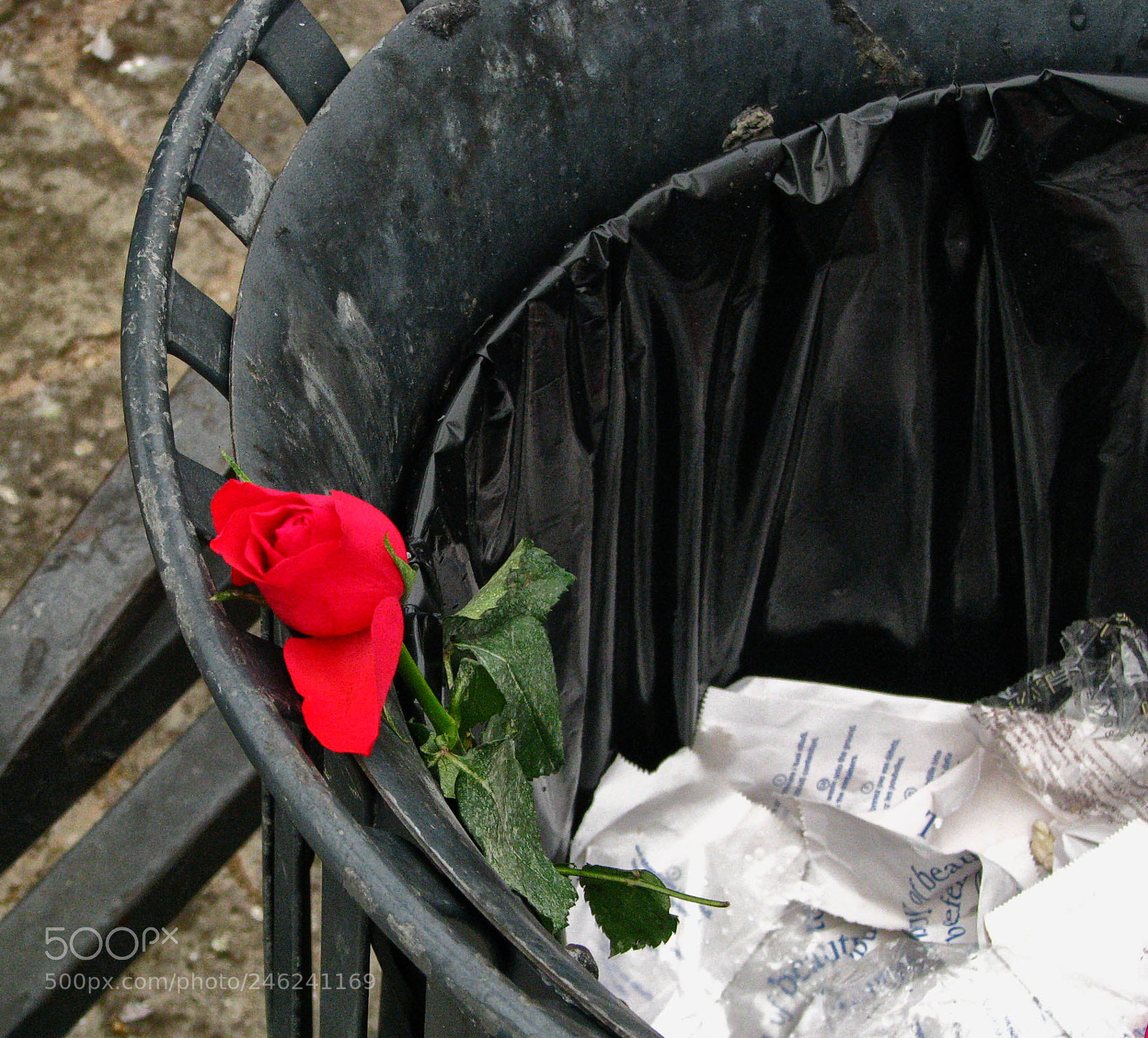Canon POWERSHOT S5 IS sample photo. A love story that photography