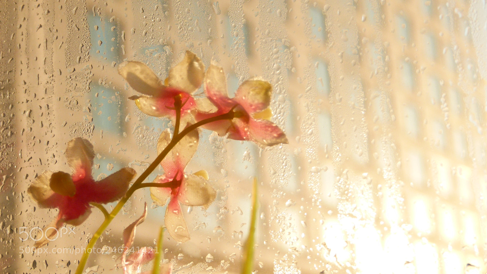 Leica V-Lux 2 sample photo. Untitled photography