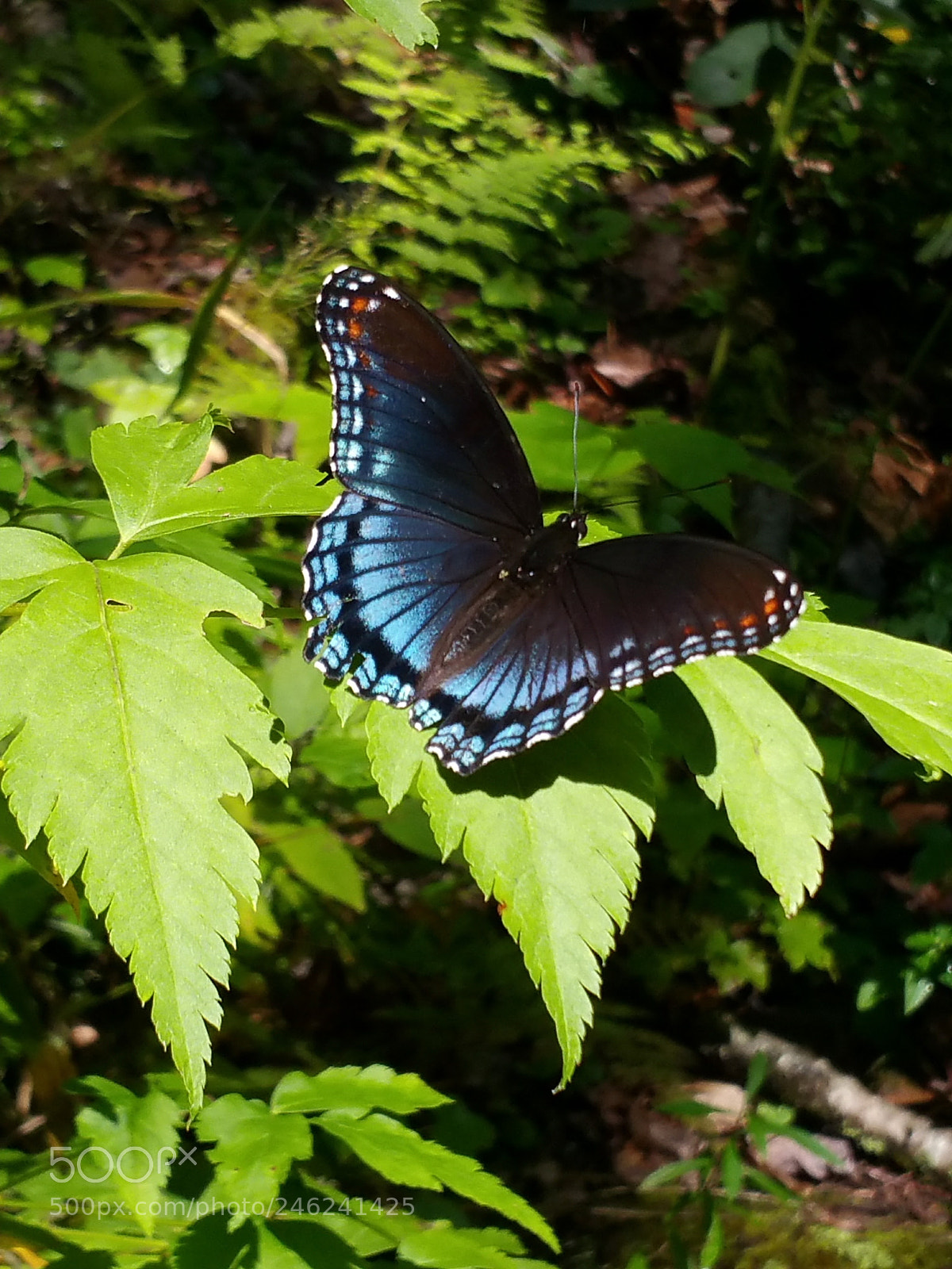 Samsung Galaxy Note4 sample photo. Landing photography