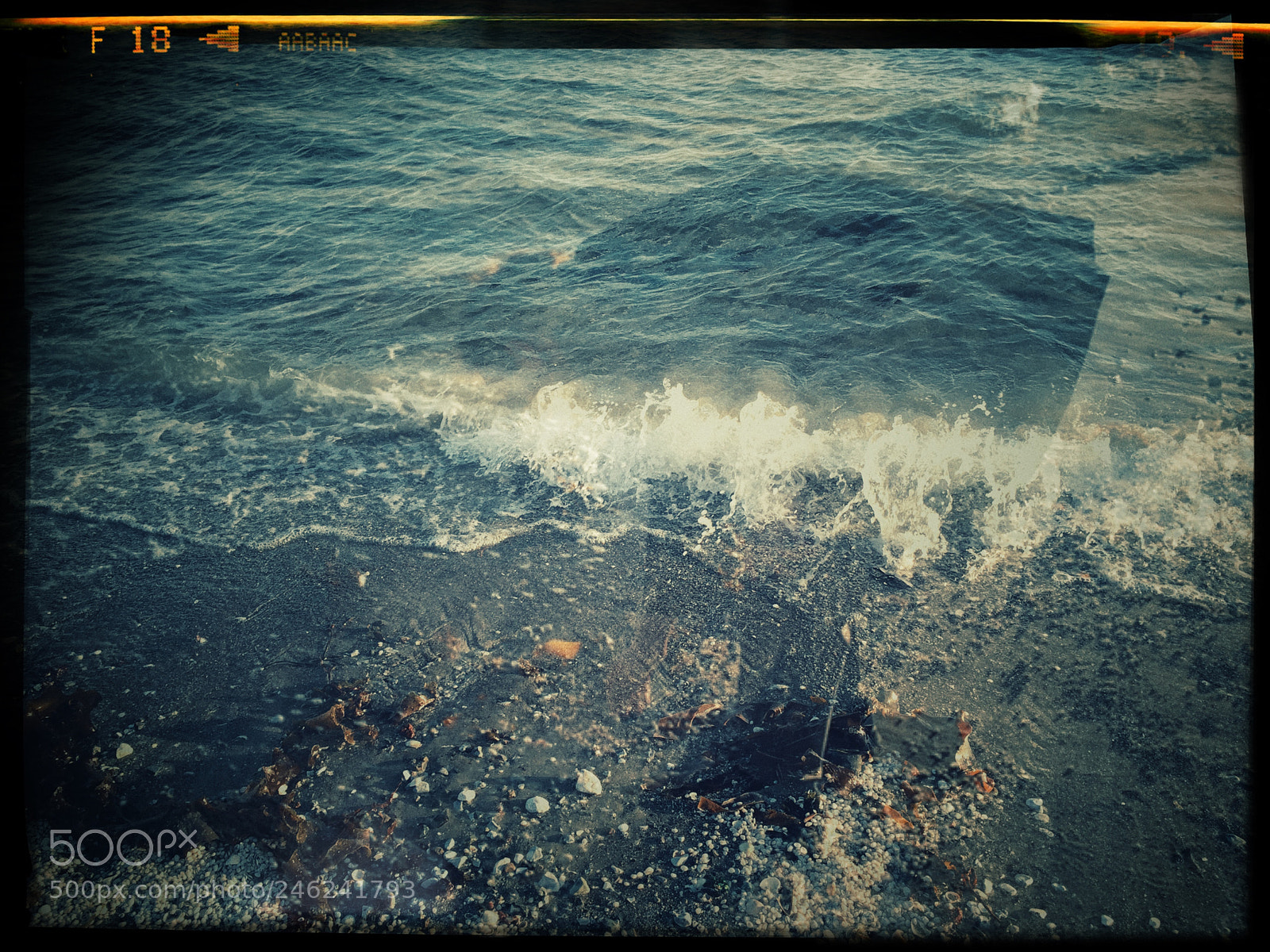 Apple iPhone 6 sample photo. The sea monster photography
