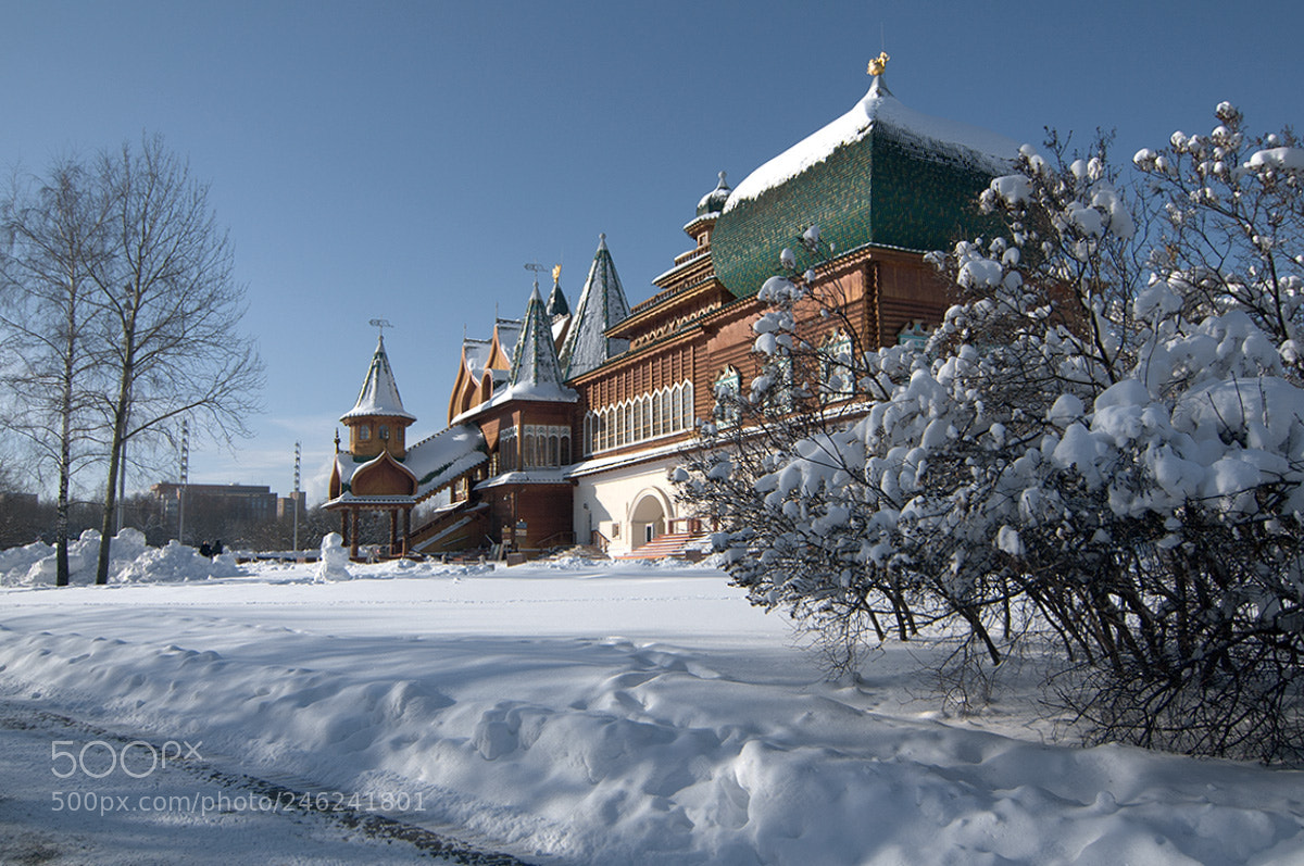 Pentax K-7 sample photo. Winter in park. photography