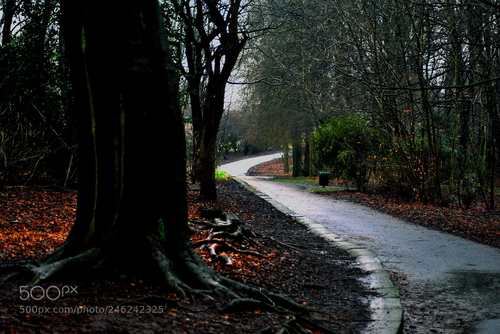 Nikon D3000 sample photo. Wet  wet  wet photography