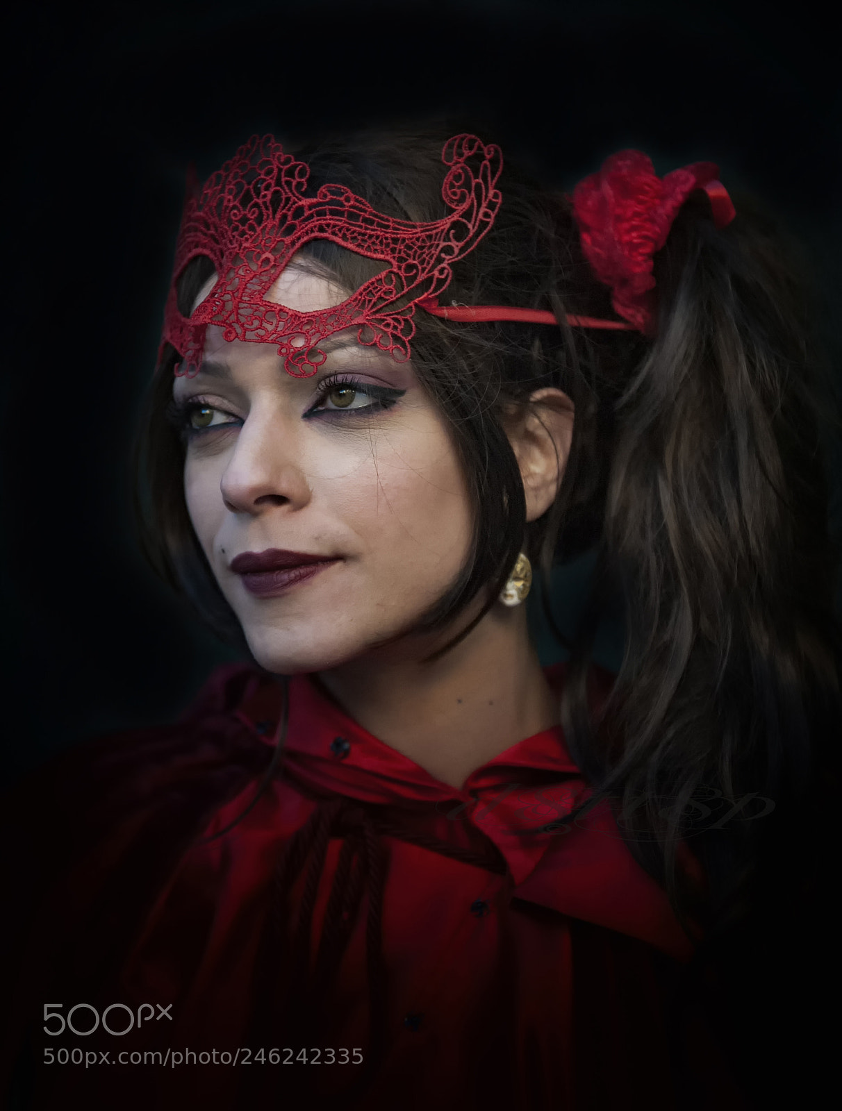 Nikon D700 sample photo. Carnaval  a venise photography