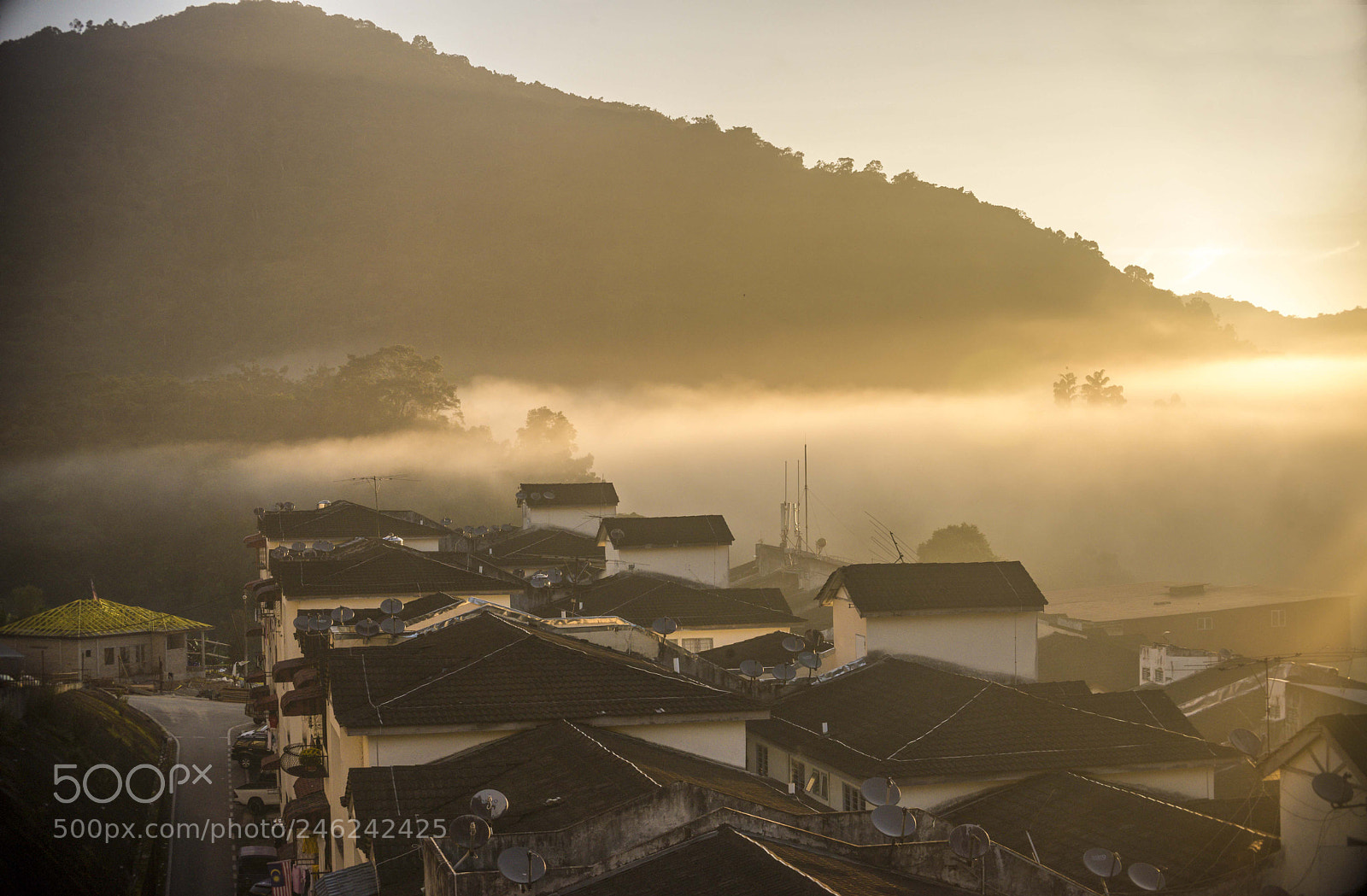 Nikon D610 sample photo. Foggy morning at tringkap photography
