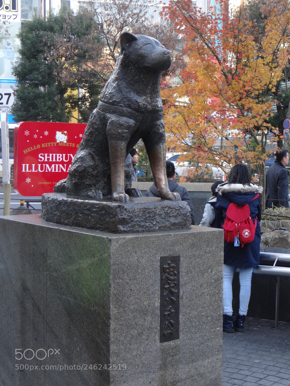 Sony Cyber-shot DSC-HX100V sample photo. Dsc photography