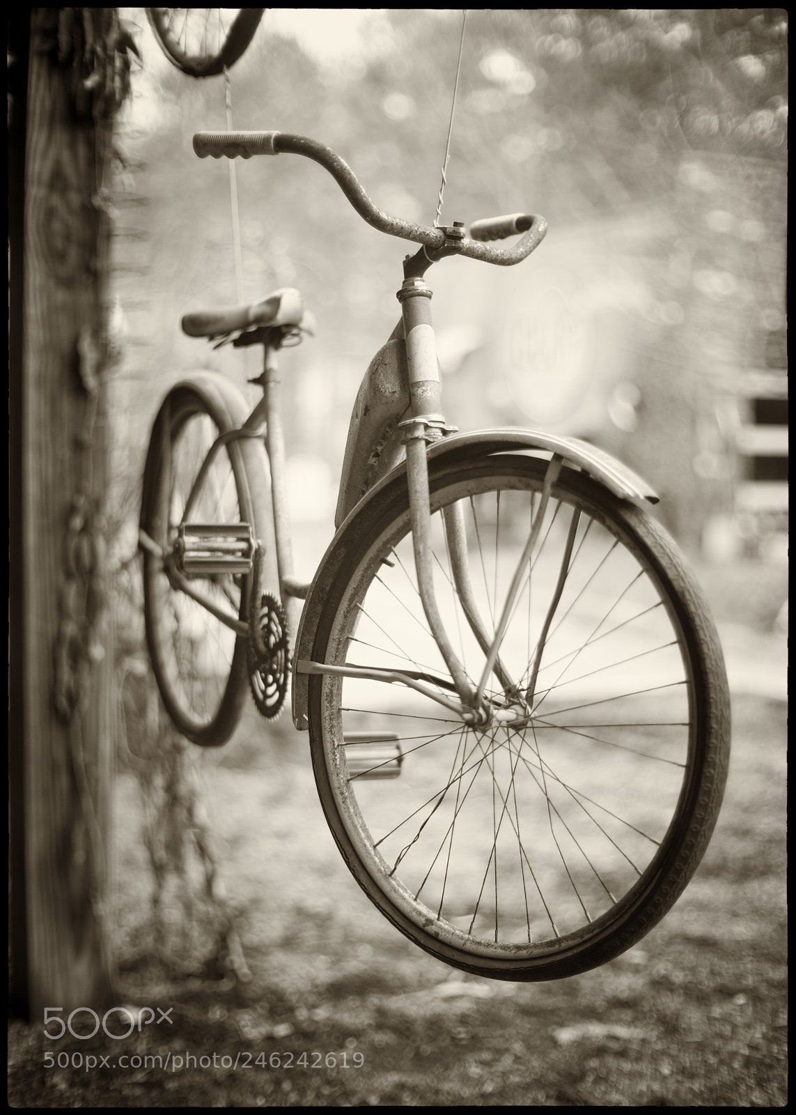 Leica M Monochrom (Typ 246) sample photo. A suspended state photography