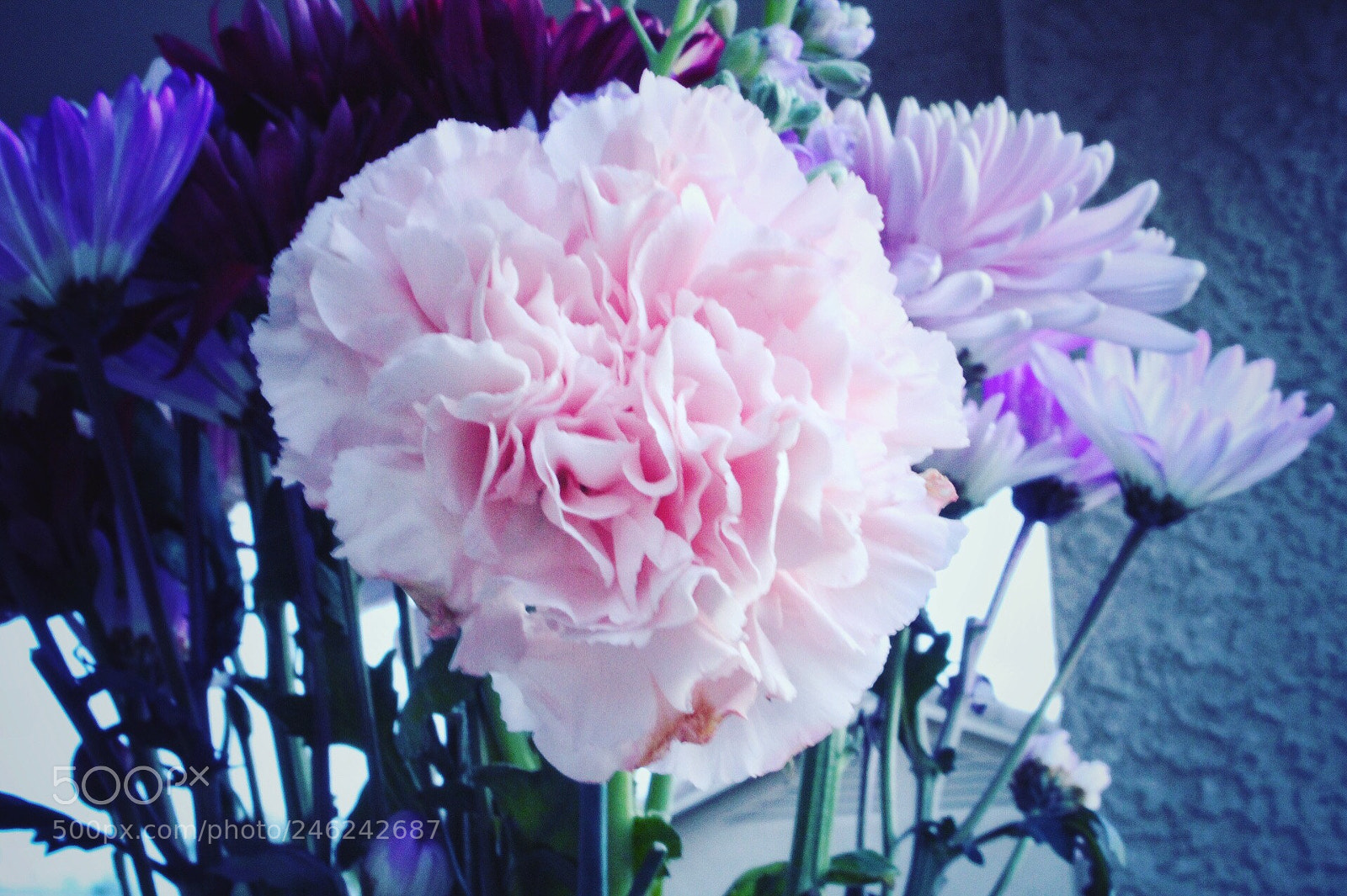 Canon EOS 1300D (EOS Rebel T6 / EOS Kiss X80) sample photo. I m obsessed with photography