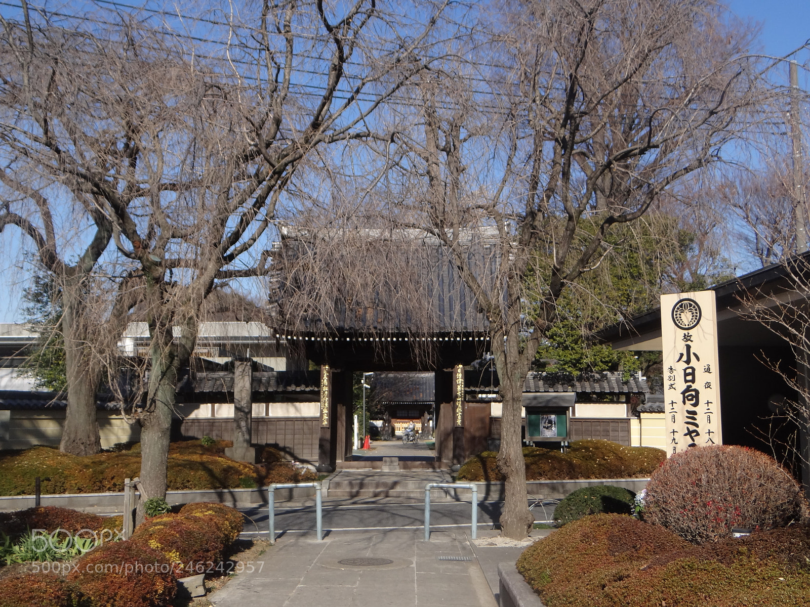 Sony Cyber-shot DSC-HX100V sample photo. Dsc photography