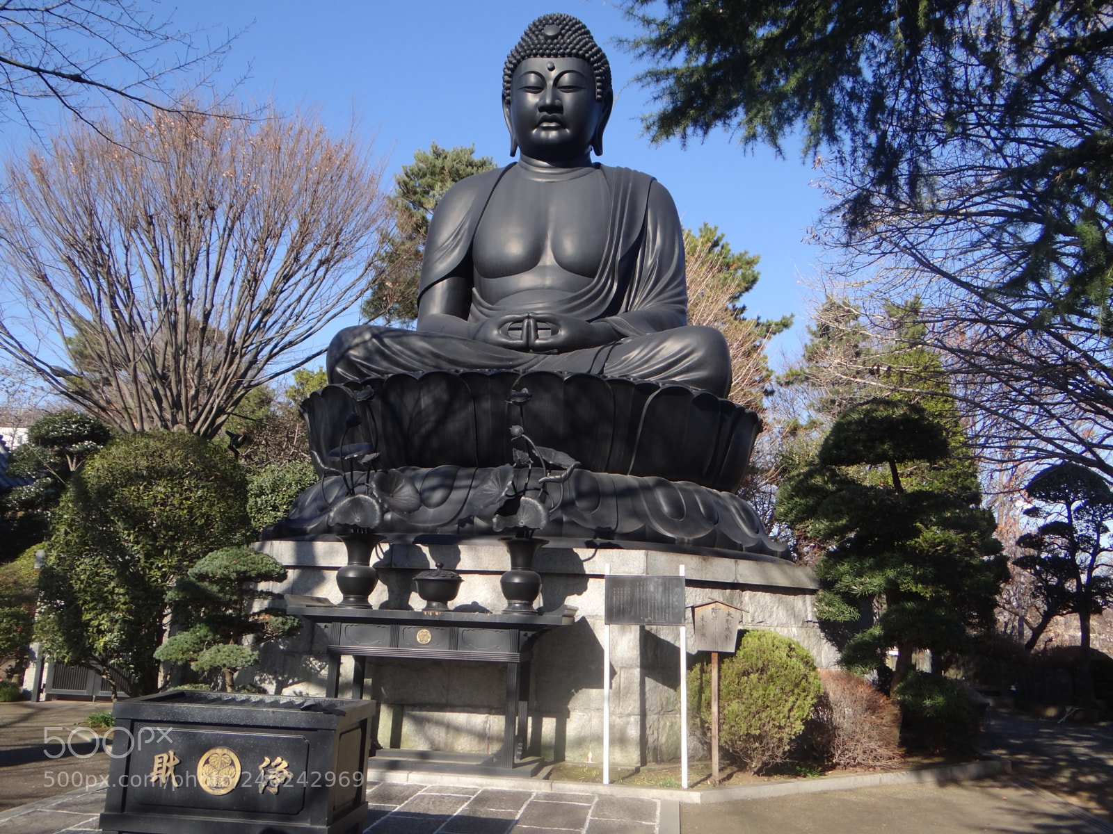 Sony Cyber-shot DSC-HX100V sample photo. Dsc photography