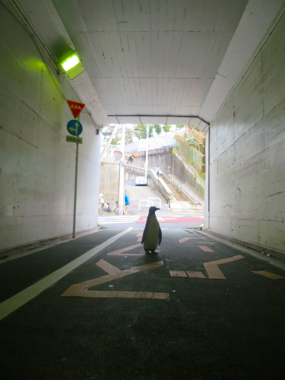 Canon PowerShot S120 sample photo. Think about the other side of the tunnel photography