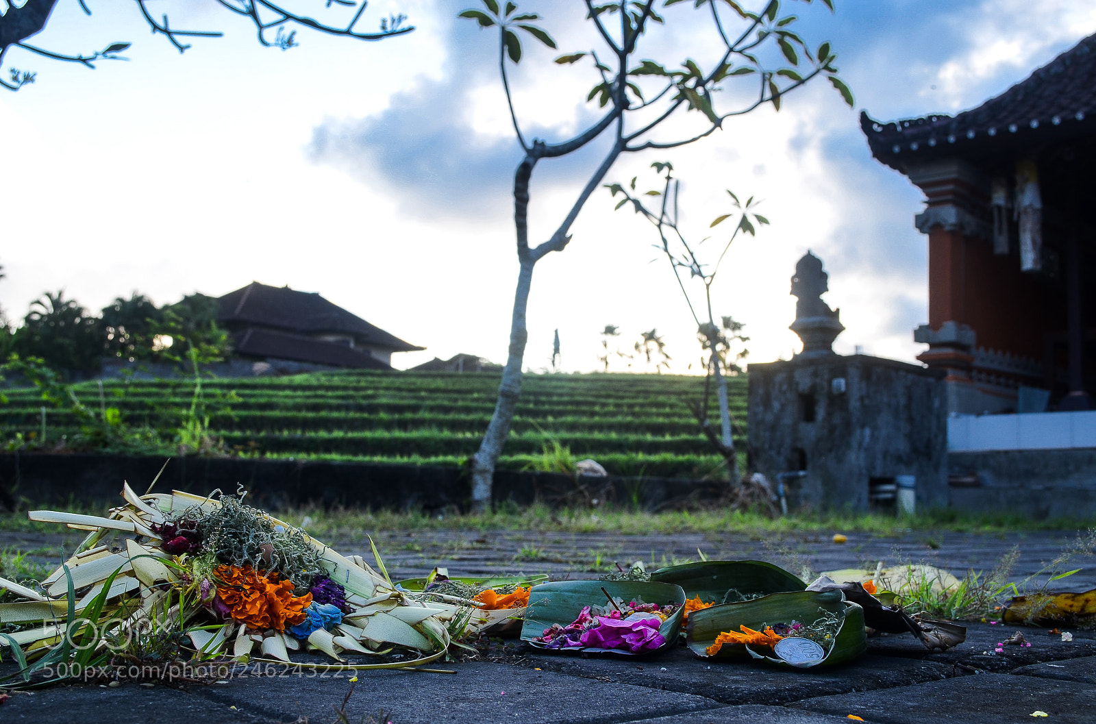Nikon D5100 sample photo. Temples photography