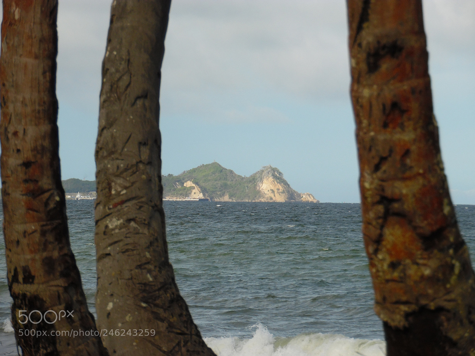 Samsung WB1100F/WB1101F/WB1102F sample photo. Life photography