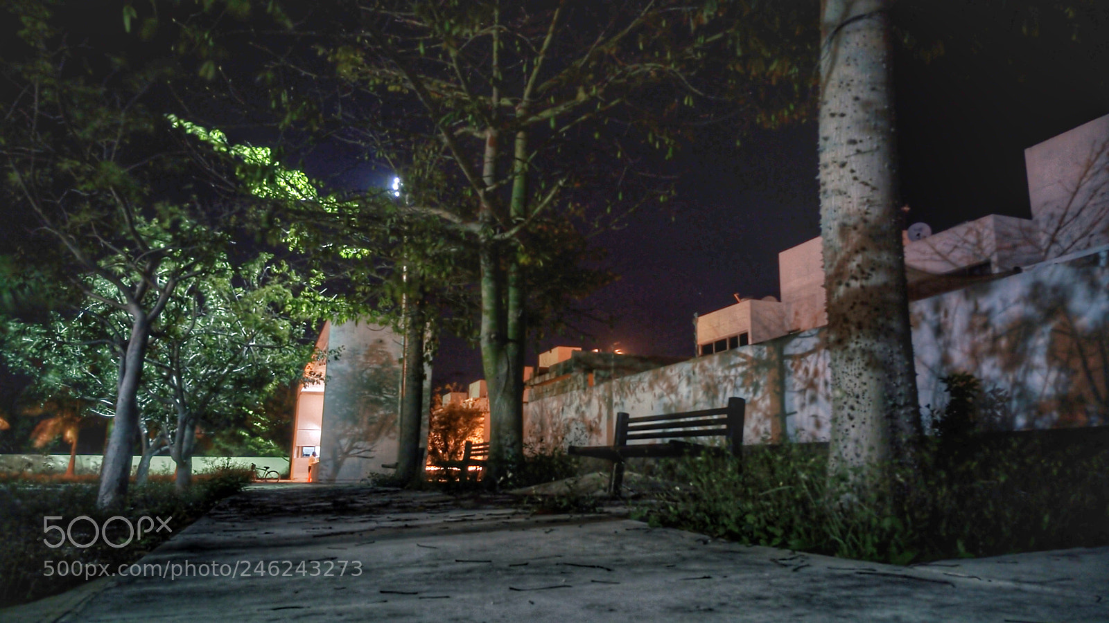 Samsung GALAXY S6 edge sample photo. Dzitya park photography