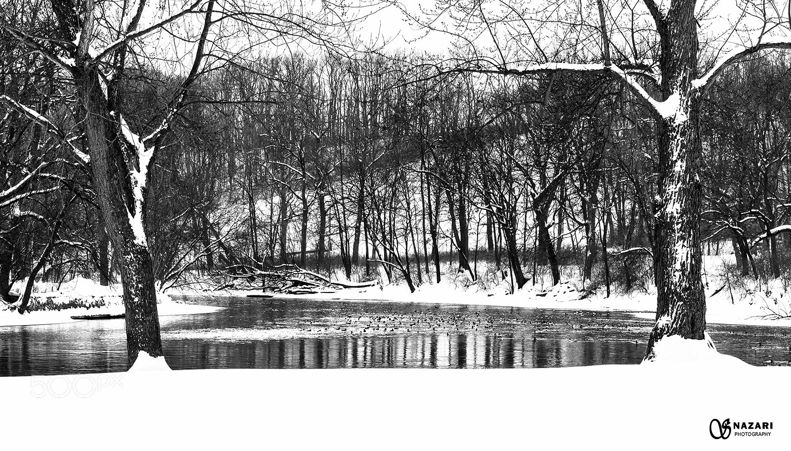 Canon EOS 6D Mark II sample photo. Bw pixxx photography