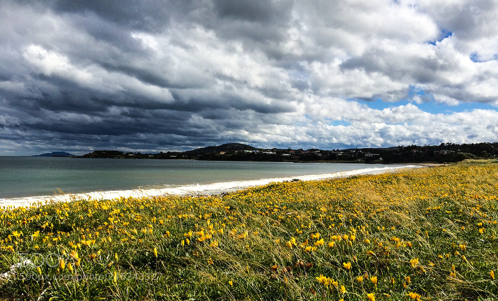 Apple iPhone 5s sample photo. Australia photography