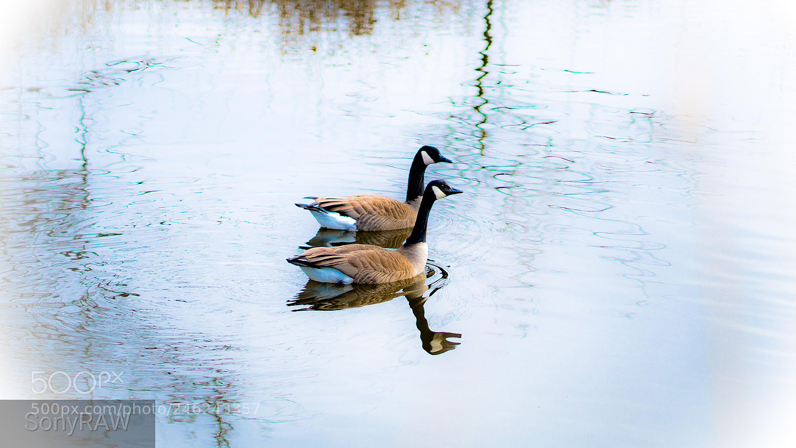 Sony a6500 sample photo. Silence passby photography