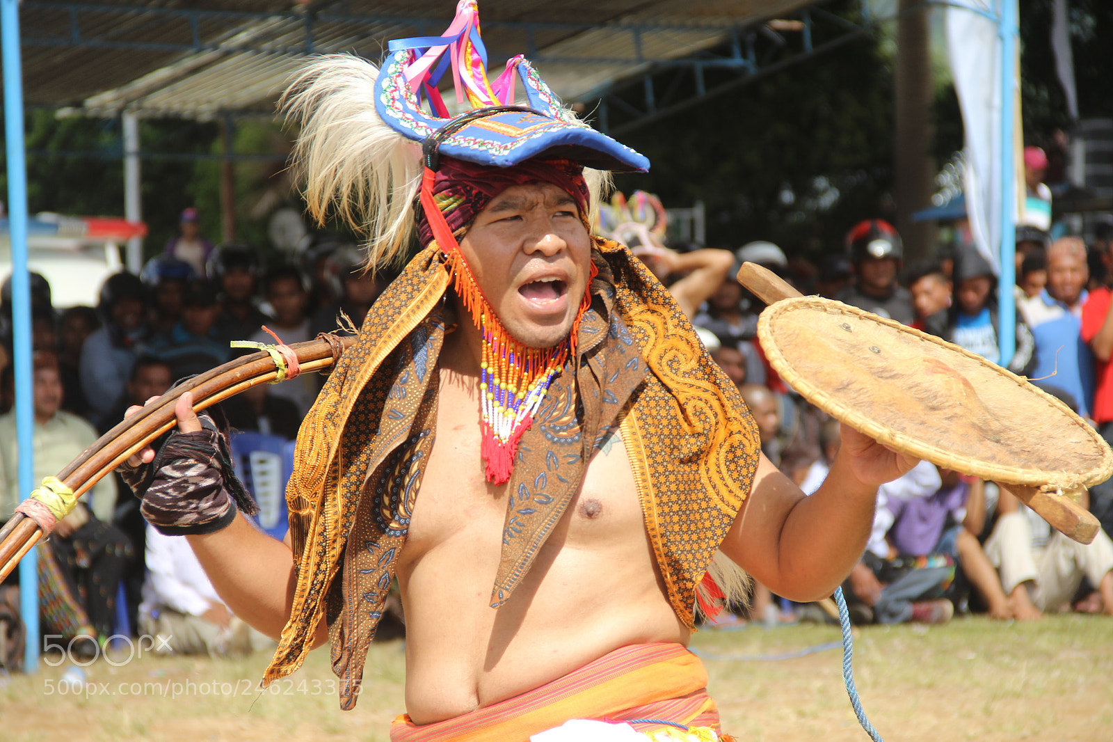 Canon EOS 600D (Rebel EOS T3i / EOS Kiss X5) sample photo. The fighter of caci photography