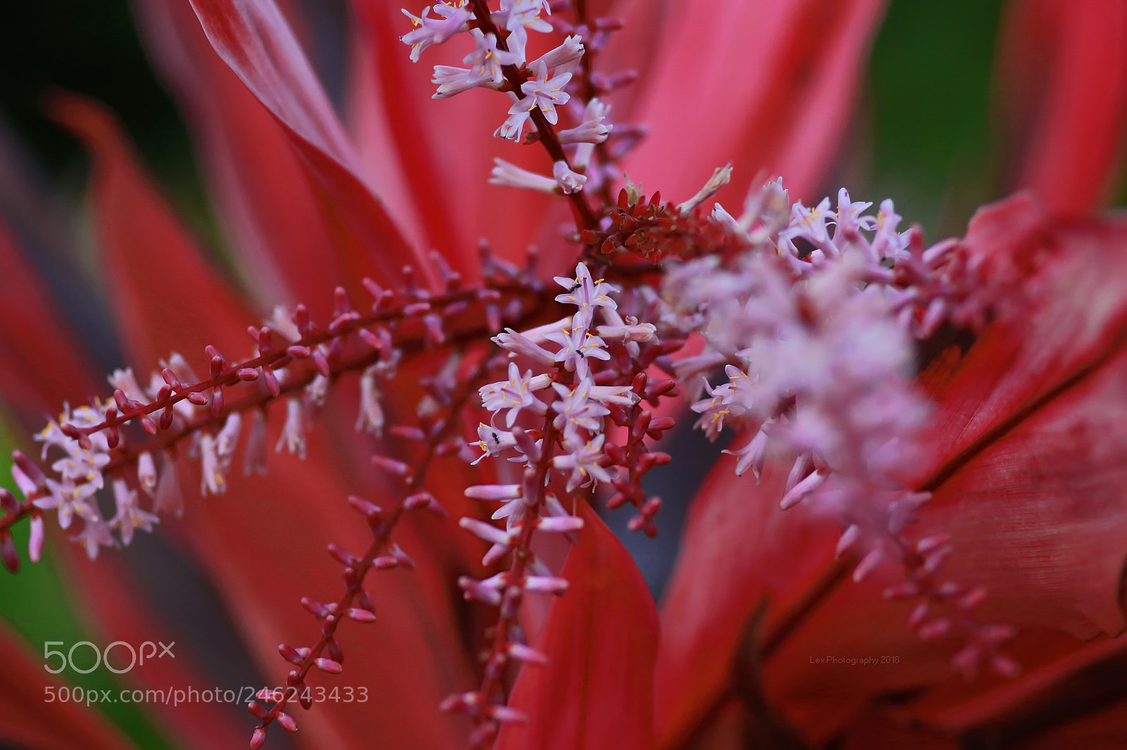 Canon EOS 700D (EOS Rebel T5i / EOS Kiss X7i) sample photo. Unknown name photography