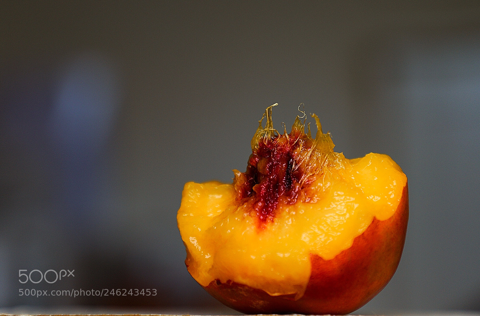 Canon EOS 6D Mark II sample photo. Untitled photography