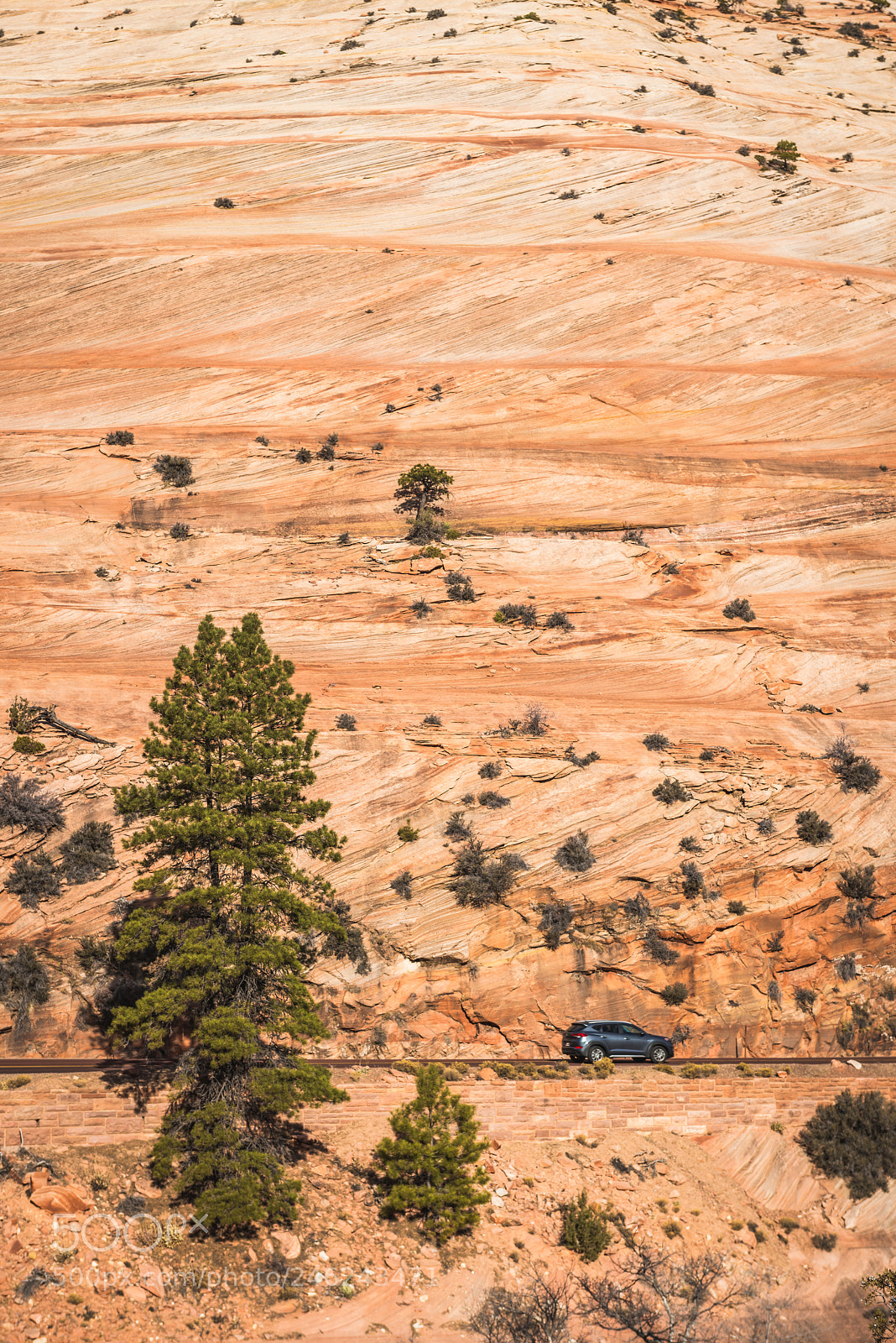 Nikon D800 sample photo. Travel in the colorado photography