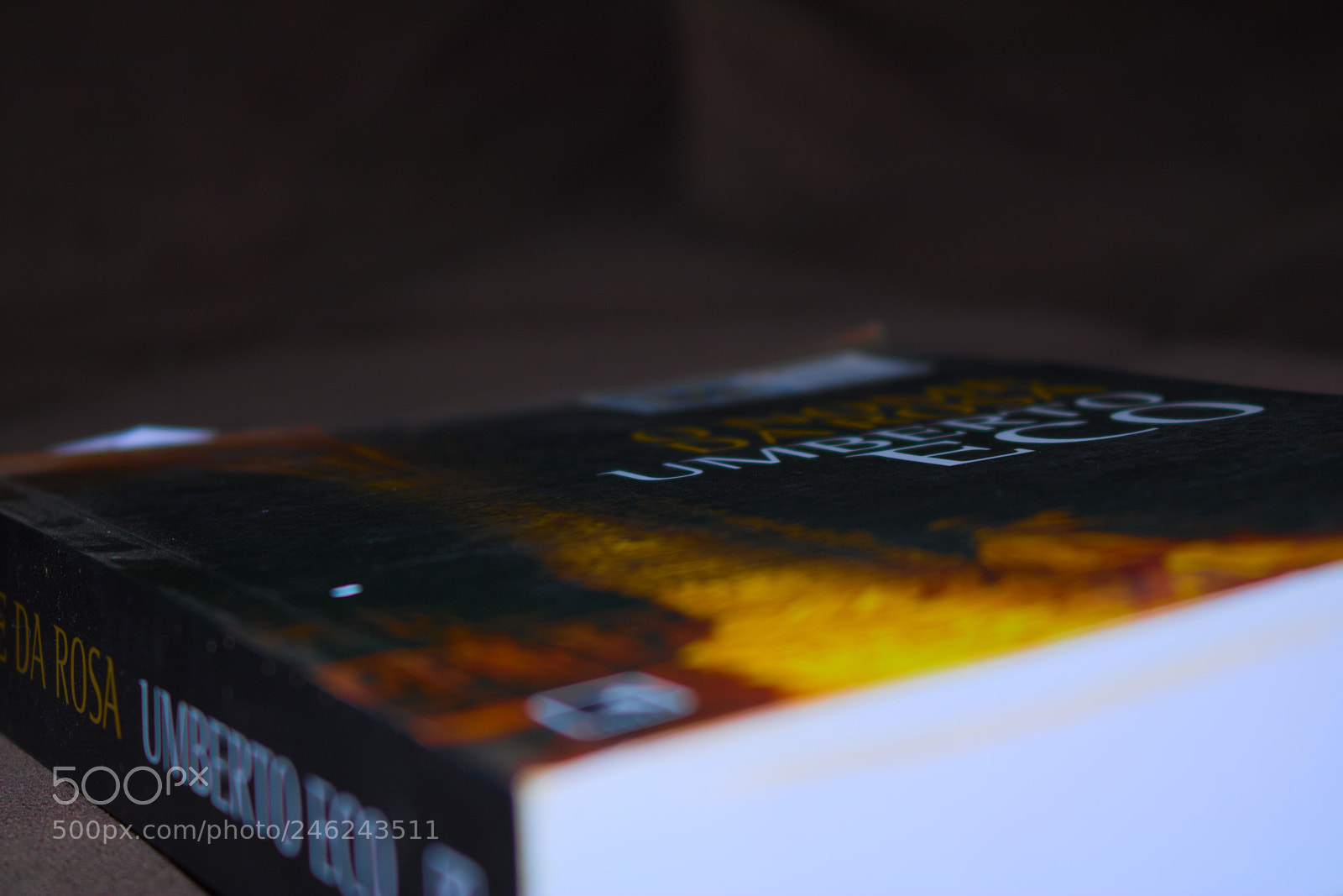 Canon EOS 750D (EOS Rebel T6i / EOS Kiss X8i) sample photo. Eco photography