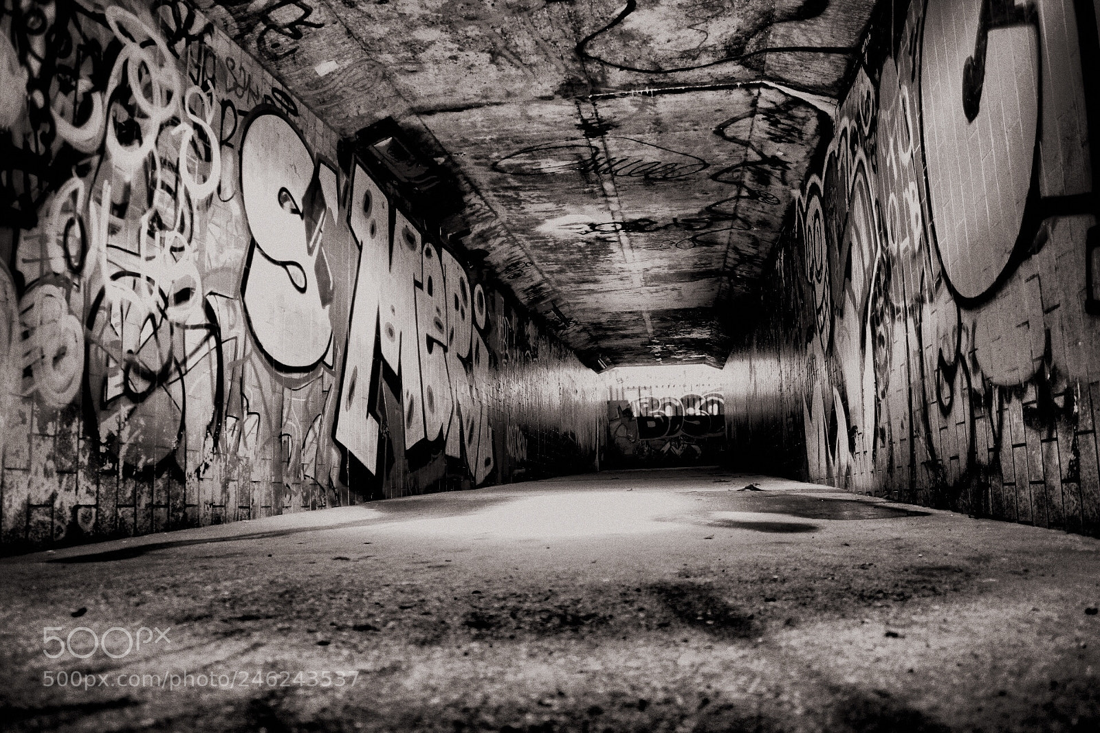 Canon EOS 1300D (EOS Rebel T6 / EOS Kiss X80) sample photo. Monochrome graff photography