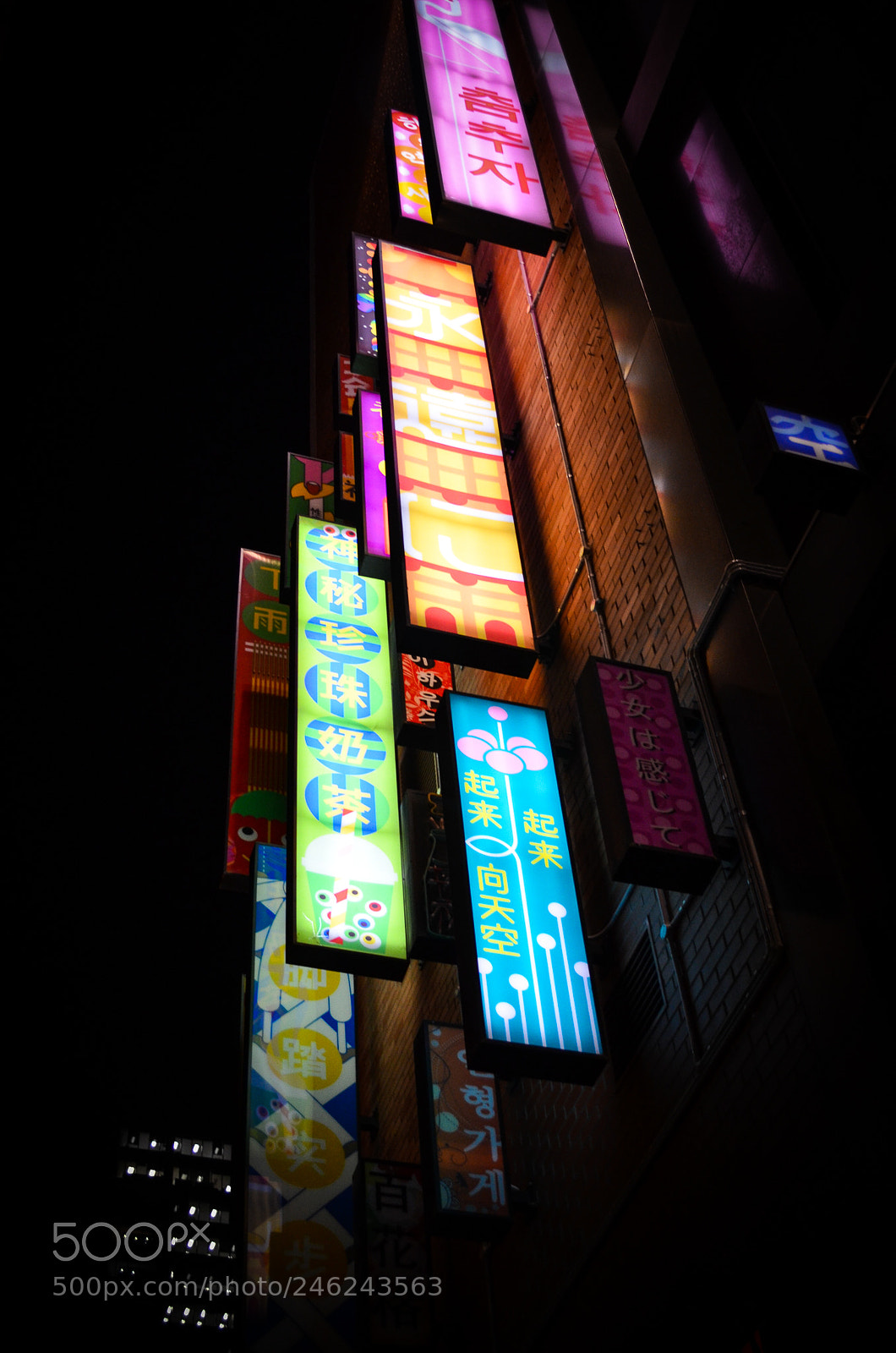 Nikon D5100 sample photo. Melbs photography