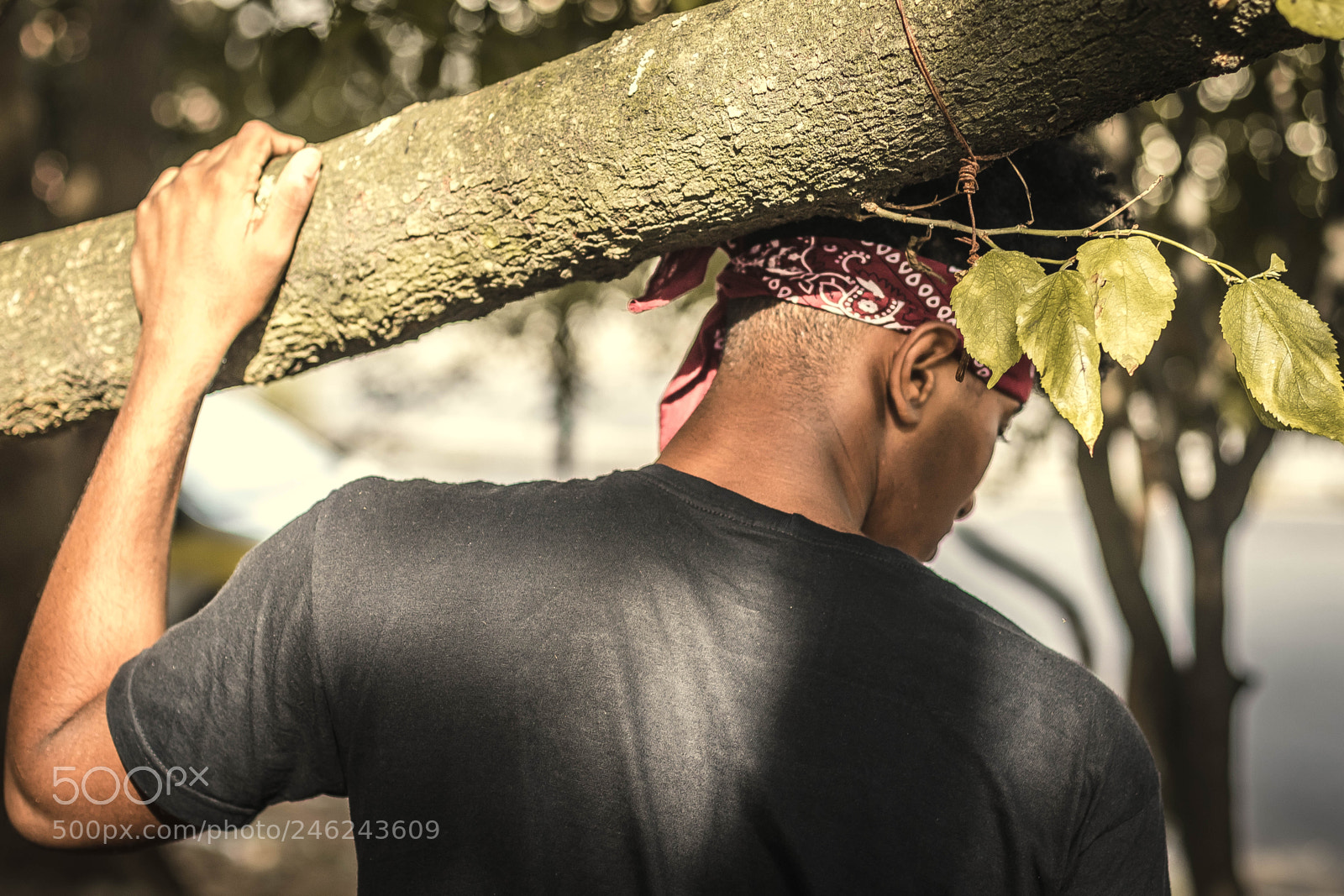 Canon EOS 7D Mark II sample photo. João vitor photography