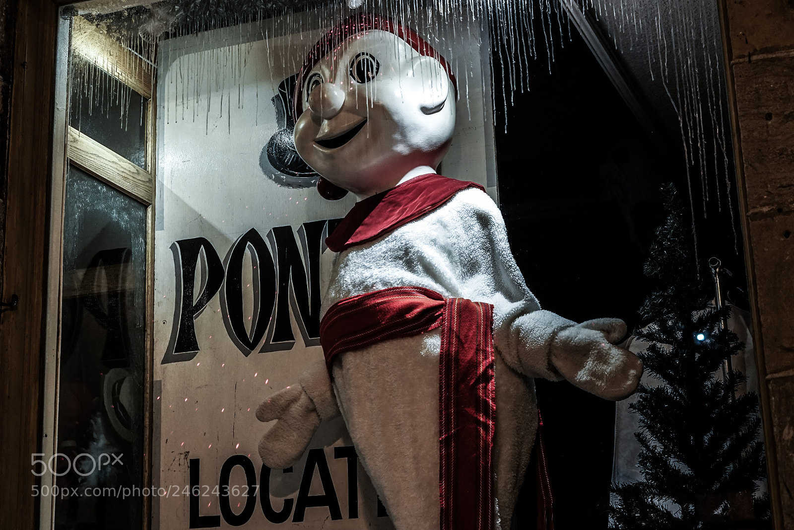 Sony a7 II sample photo. Le bonhomme! photography