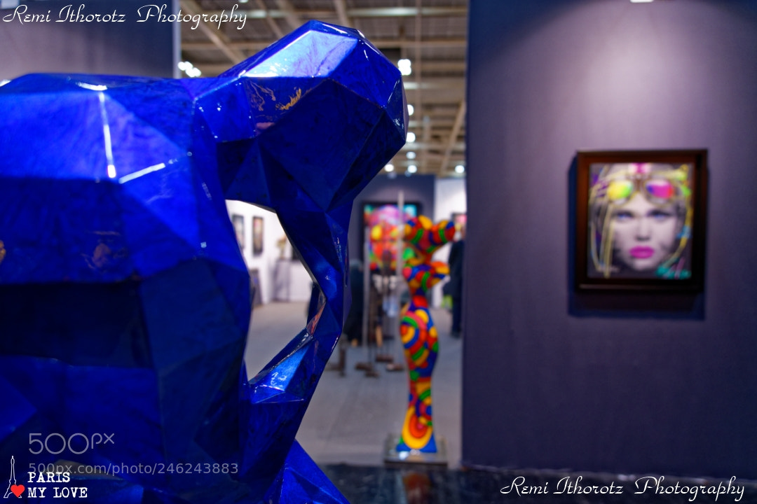 Nikon D850 sample photo. Thinking about you .. photography