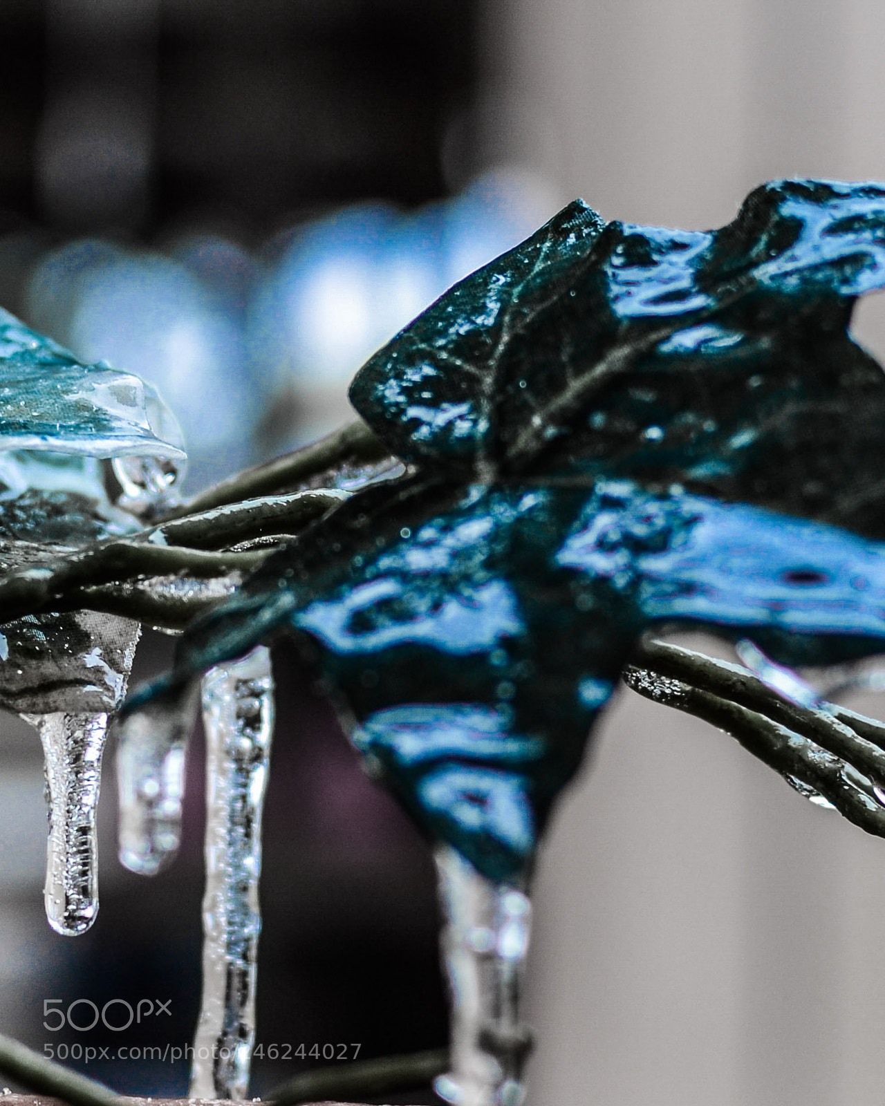 Nikon D3100 sample photo. Blue ice photography
