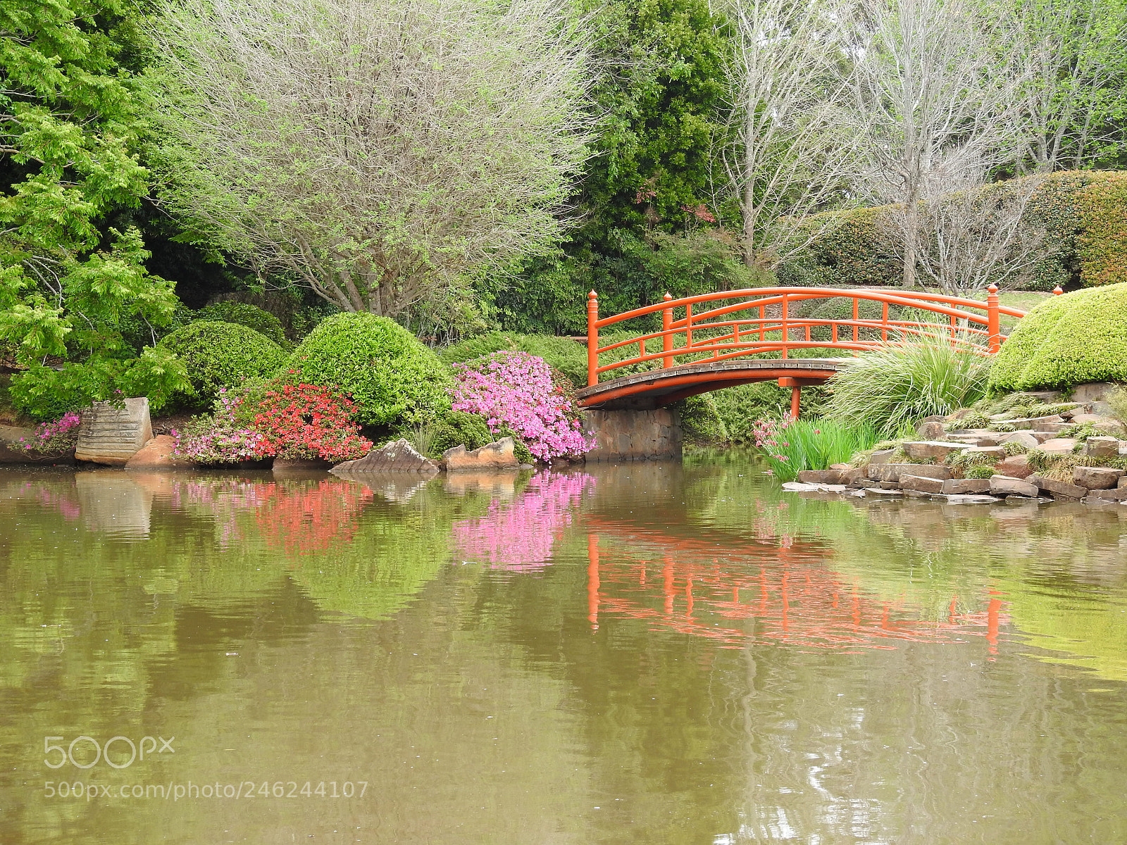 Nikon Coolpix P900 sample photo. Japanse gardens photography