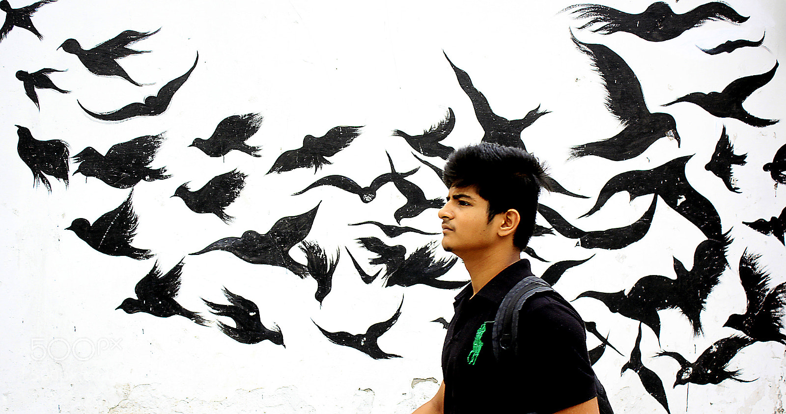 Canon EOS 60D sample photo. Freedom photography