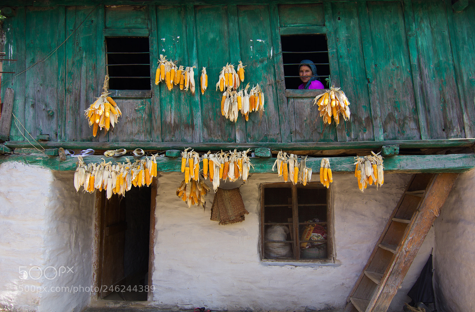 Canon EOS 60D sample photo. Corn lady photography