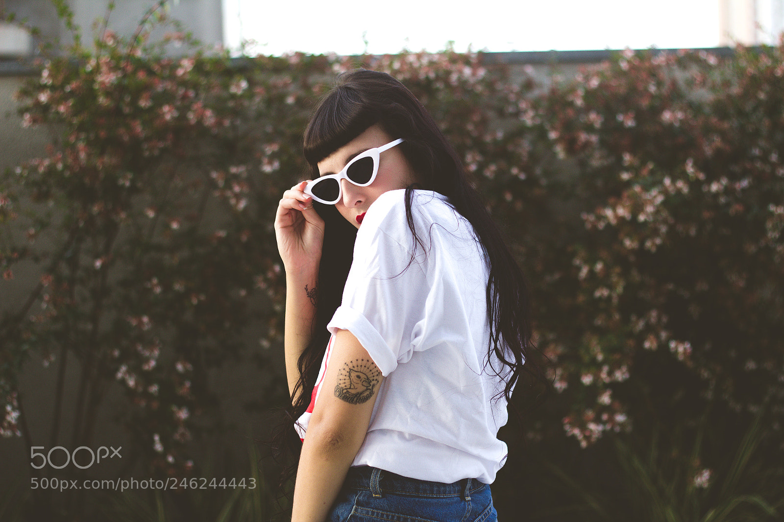 Canon EOS 600D (Rebel EOS T3i / EOS Kiss X5) sample photo. @bbrandis photography
