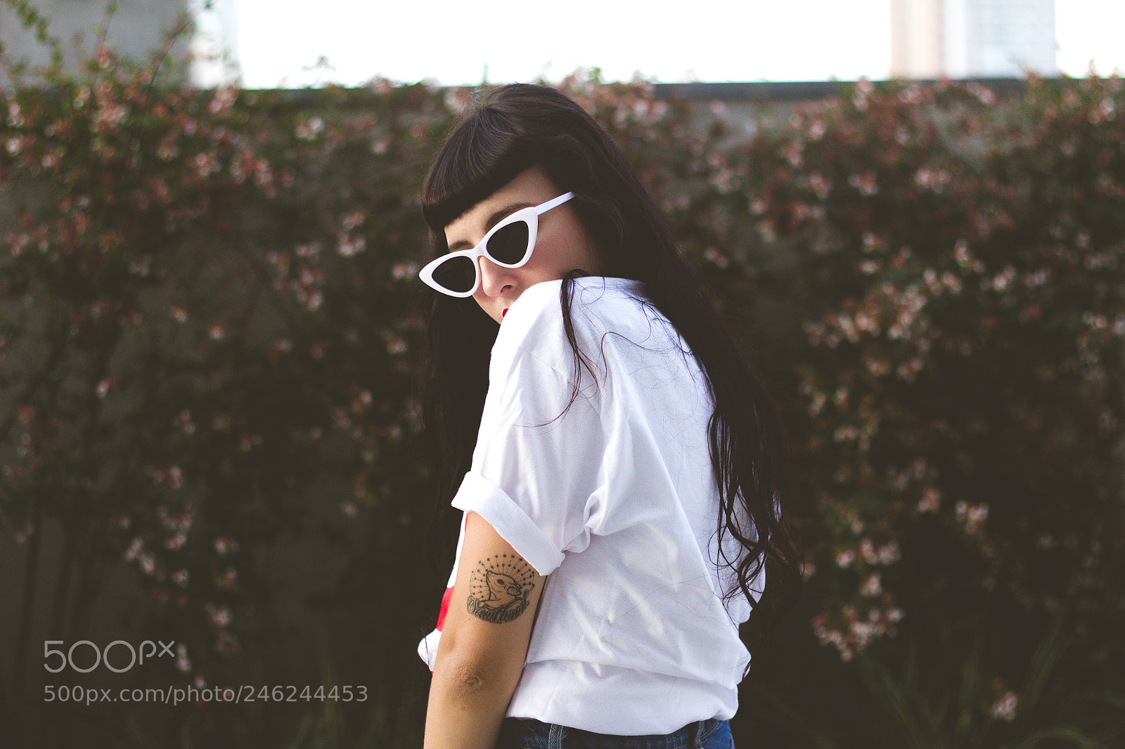 Canon EOS 600D (Rebel EOS T3i / EOS Kiss X5) sample photo. @bbrandis photography