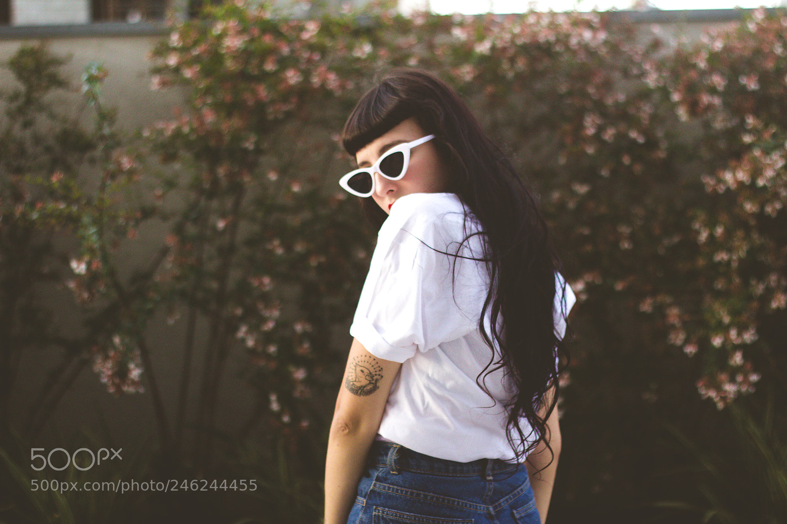 Canon EOS 600D (Rebel EOS T3i / EOS Kiss X5) sample photo. @bbrandis photography