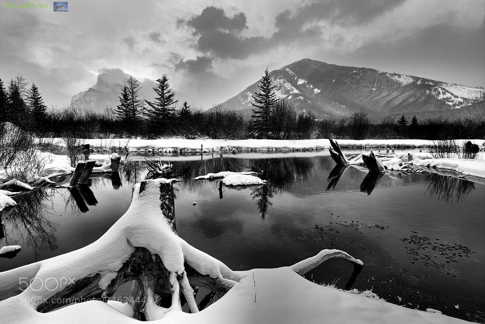 Nikon D810 sample photo. Black & white, canada photography