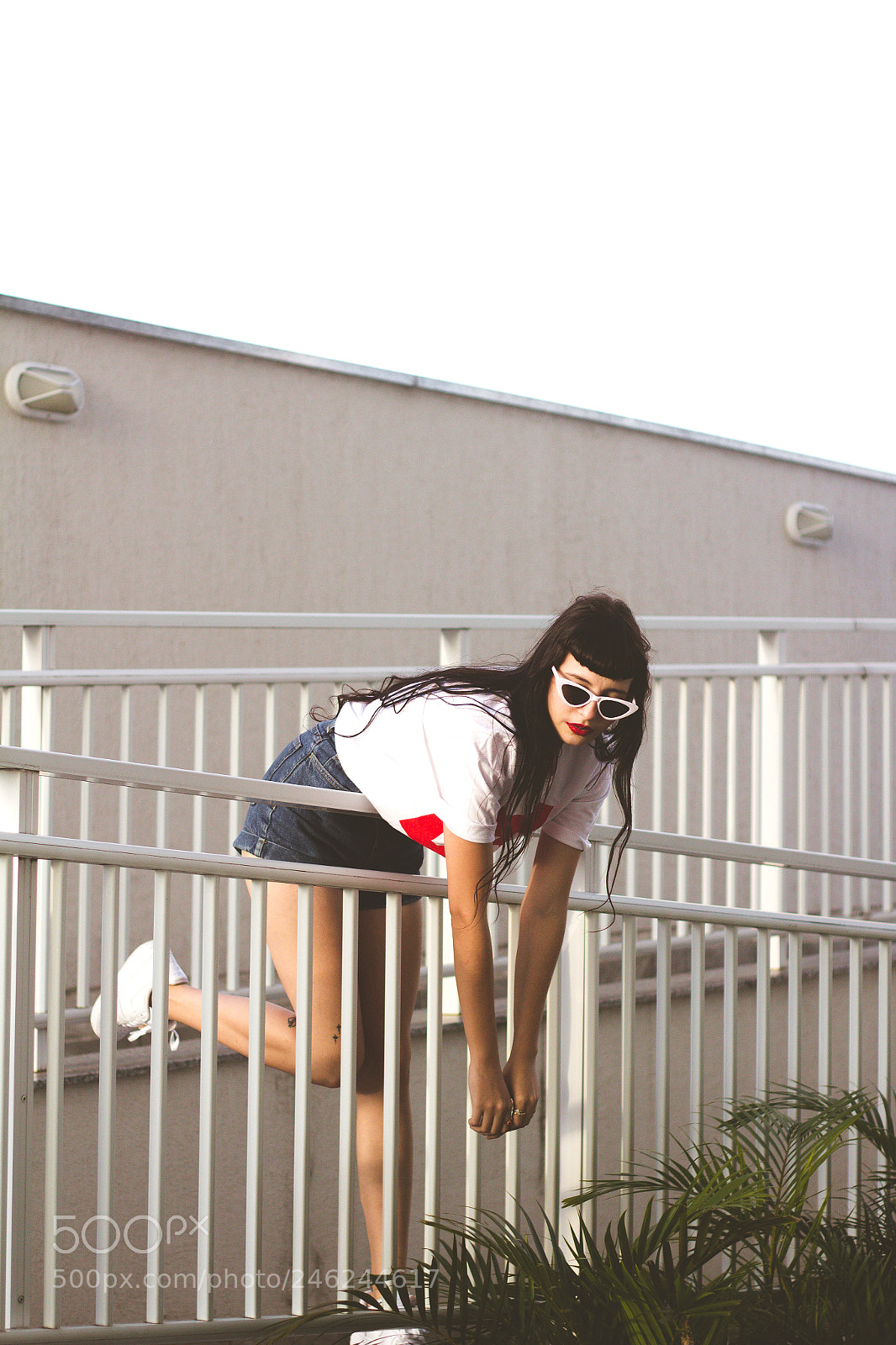 Canon EOS 600D (Rebel EOS T3i / EOS Kiss X5) sample photo. @bbrandis photography