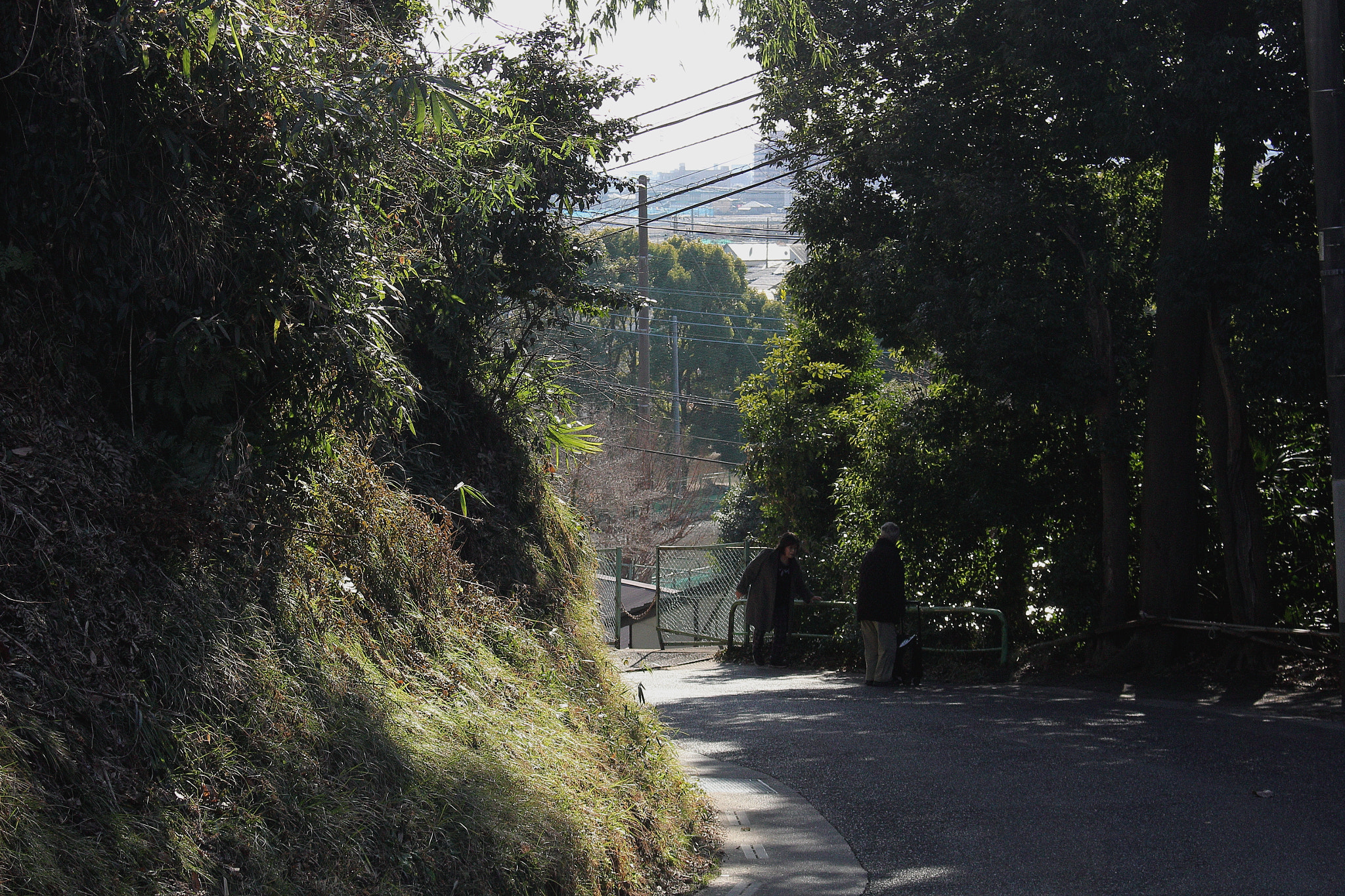 Canon EOS 100D (EOS Rebel SL1 / EOS Kiss X7) sample photo. 切通し(kiridoshi) photography